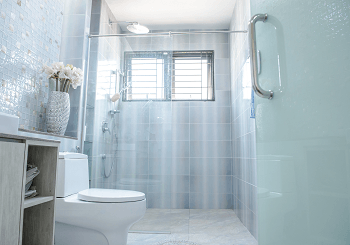 showerscreen1