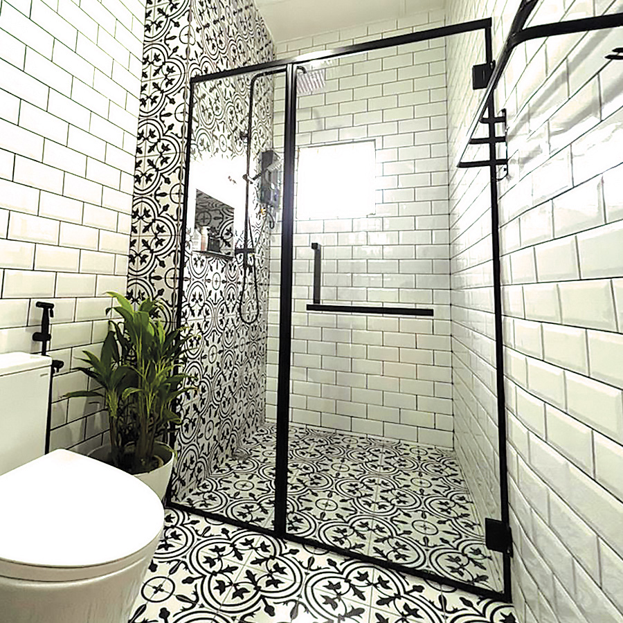 Frameless Shower Screen