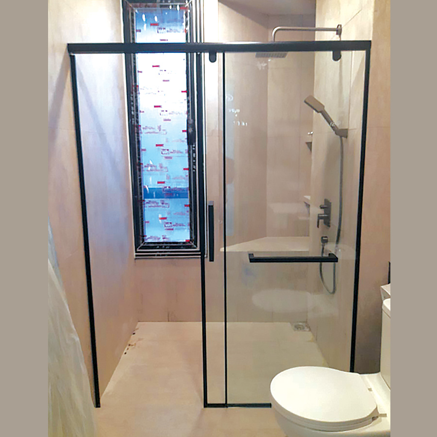 Shower Screen