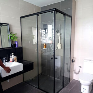 Frameless Shower Screen