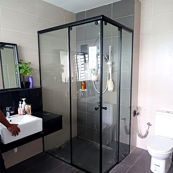 Frameless Shower Screen